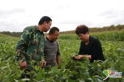 甘南县霁朗玉米种植专业合作社获评全国脱贫攻坚先进集体